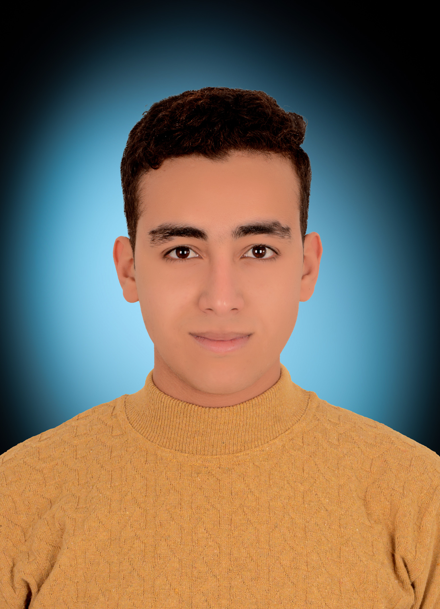 Mohammed Metwally Gamil
